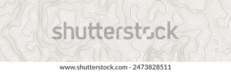 Stylized topographic contour map. Geographic line mountain relief. Abstract lines or wavy backdrop background. Cartography, topology, or terrain path concept. Vector illustration with editable stroke