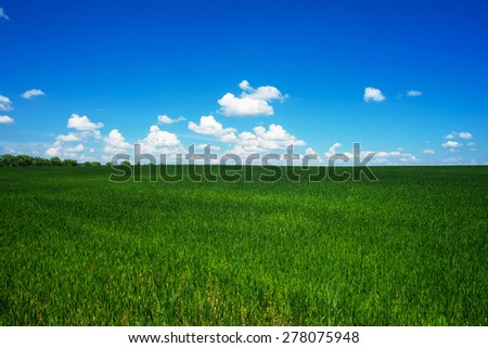 beautiful landscape, clean blue sky