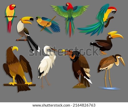 Birds species icons colorful vector