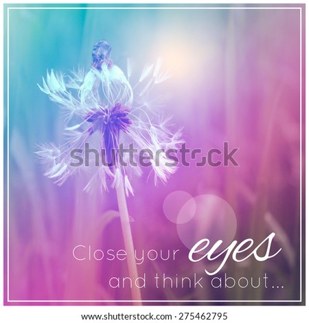 sunny dandelion in the grass. close your eyes and think about. typography poster. quote, life quote