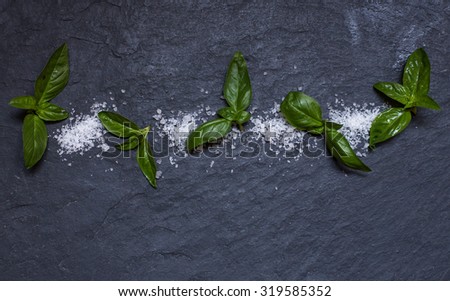 Bunch of basil with salt on black stone background