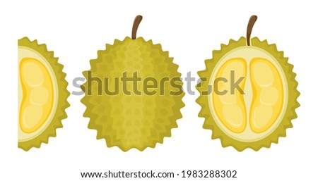 Set of durians fruits and sliced durians (whole, half, slice) isolated on white background with cartoon style.