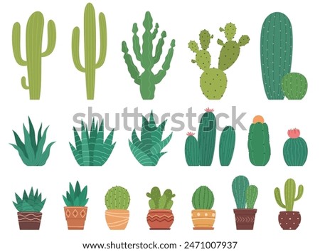 Set of beautiful aloe cacti and leaves. Exotic prickly plants. Decorative vases with cacti at home on the table. Vector illustration