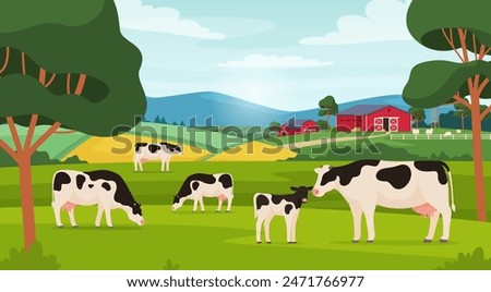 Cows graze in the field. Village pets. Milk production farm. Vector illustration