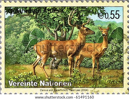 UNITED NATIONS - CIRCA 2004: A stamp printed in United Nations shows Eld\'s Deer, series, circa 2004