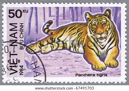 VIETNAM - CIRCA 1984: A stamp printed in Vietnam shows Panthera tigris or tiger, series is devoted to animals endangered, circa 1984