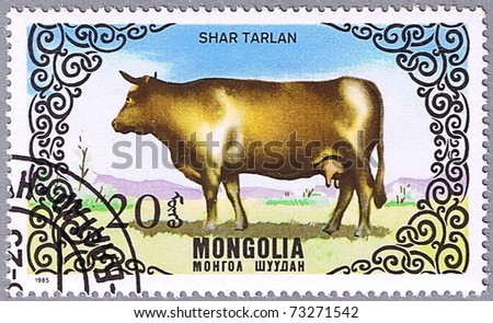 MONGOLIA - CIRCA 1985: A stamp printed in Mongolia shows a cow breed Shar Tarlan, a series devoted to cattle, circa 1985