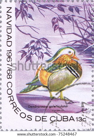 CUBA - CIRCA 1967: A stamp printed in Cuba shows Dendronessa galericulata or Mandarin duck, series devoted to the birds, circa 1967