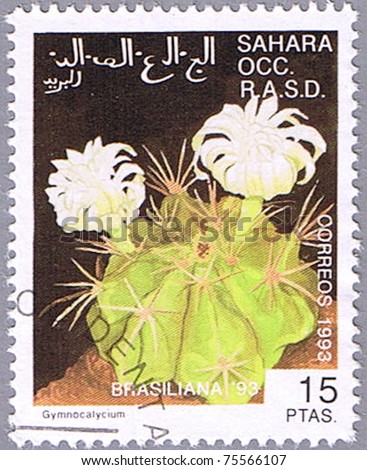 WESTERN SAHARA - CIRCA 1993: A stamp printed in Western Sahara shows Gymnocalycium, series devoted to cacti, circa 1993