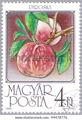 HUNGARY - CIRCA 1986: A stamp printed in Hungary shows Peaches, series is devoted to fruits, circa 1986