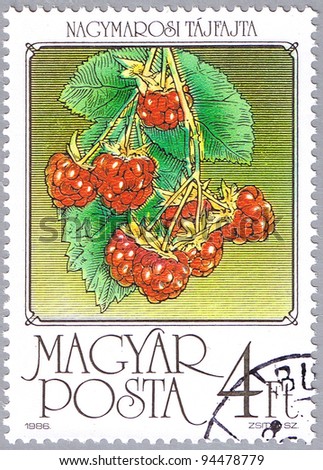 HUNGARY - CIRCA 1986: A stamp printed in Hungary shows Raspberries, series is devoted to fruits, circa 1986