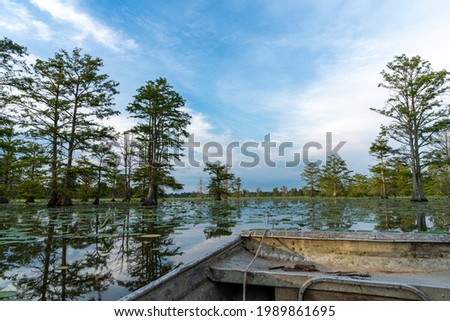 Similar – Image, Stock Photo Horseshoe Lake in the evening