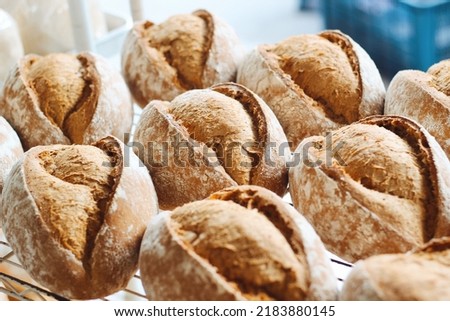 Sourdough loaf of bread bakery rustic artisan pasty baguette french rye wheat german style dough 商業照片 © 