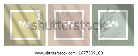 Square Paper Mockup with realistic shadows overlays leaves on beige background. Vector Shadow Of A Tropical Plant. Template Flyer, Poster, blank, social media post, logo template in a trendy style.