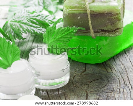 facial cream with fresh leaves
