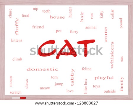 Cat Word Cloud Concept on a  Dry Erase Board with great terms such as feline, tabby, food, nip and more.