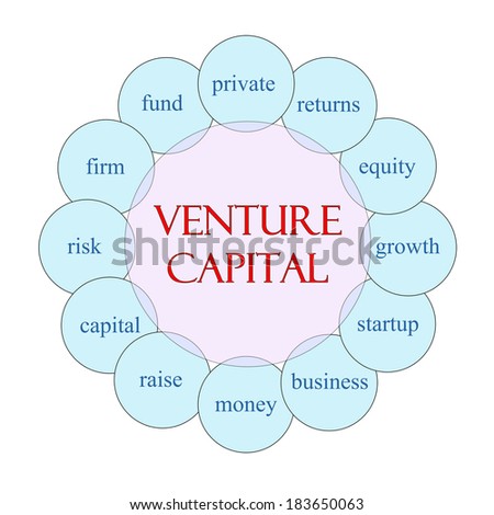 Venture Capital concept circular diagram in pink and blue with great terms such as private, returns, equity and more.