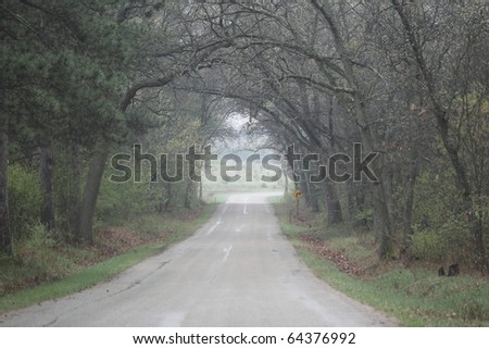 Photograph of a country road covered by a tunnel of trees taken in early Spring on a misty morning.  The road less traveled