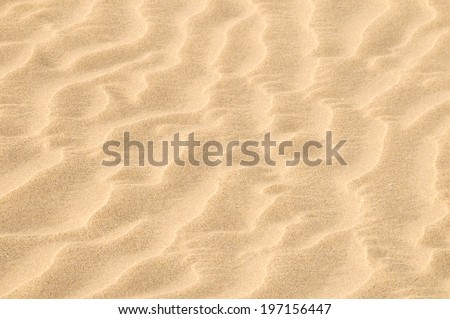 sand desert texture