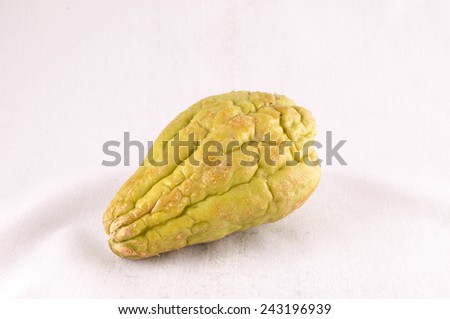 Chayote (Sechium Edule) is a Vegetable Native of South America
