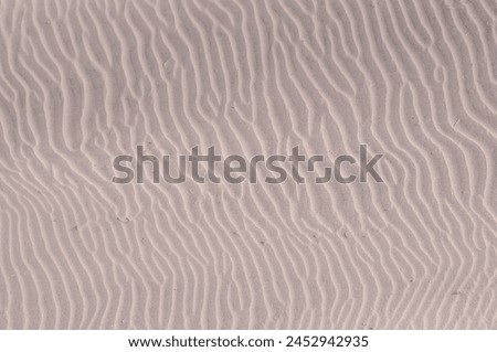 Similar – Image, Stock Photo Sandy beach with waves sea