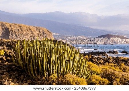 Image, Stock Photo Rocky hillside near ocean under cloudy sky