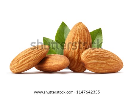 Similar – Image, Stock Photo Close up almonds Almond