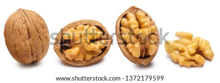 Similar – Image, Stock Photo dry fruit husk of the Physalis peruviana, Cape gooseberry, Andean berry on light background