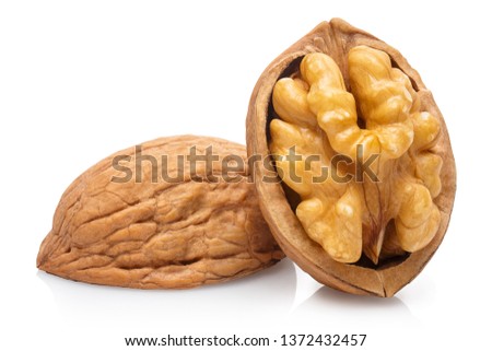 Similar – Image, Stock Photo dry fruit husk of the Physalis peruviana, Cape gooseberry, Andean berry on light background