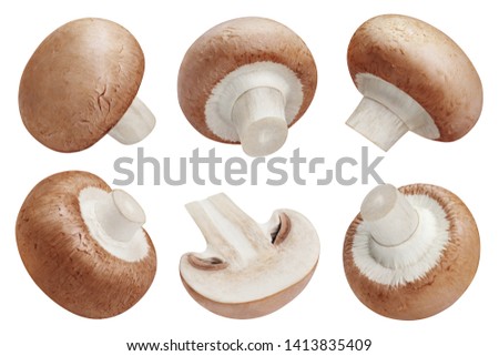 Similar – Image, Stock Photo Fresh Champignon mushrooms on gray table