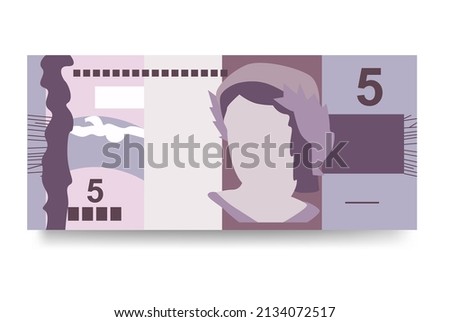 Brazilian Real Vector Illustration. Brazil money set bundle banknotes. Paper money 5 BRL. Flat style. Isolated on white background. Simple minimal design.