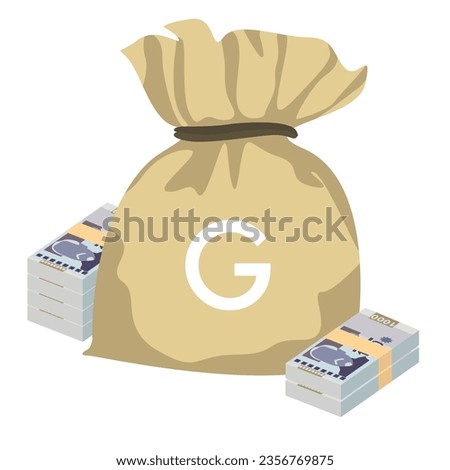 Haitian Gourde Vector Illustration. Haitian money set bundle banknotes. Money bag 1000 HTG. Flat style. Isolated on white background. Simple minimal design.