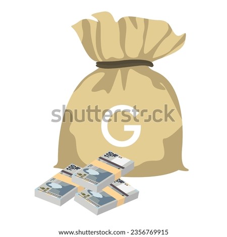 Haitian Gourde Vector Illustration. Haitian money set bundle banknotes. Money bag 100 HTG. Flat style. Isolated on white background. Simple minimal design.
