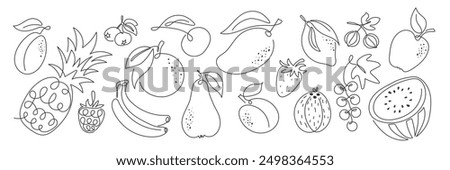 Doodle outline various fruit collection. Cute tropical garden fruits, berries. Abstract Healthy food sketch black and white illustration. Summer fresh organic ingredients set