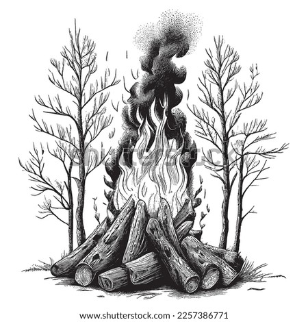 Hand Drawn Engraving Pen and Ink Bonfire with Tree Trunks in the Forest Vintage Vector Illustration