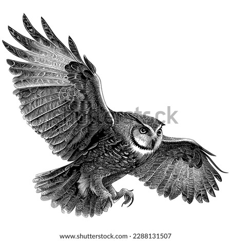 Owl Flying Drawing | Free download on ClipArtMag