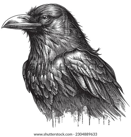 Hand Drawn Engraving Pen and Ink Crow Vintage Vector Illustration