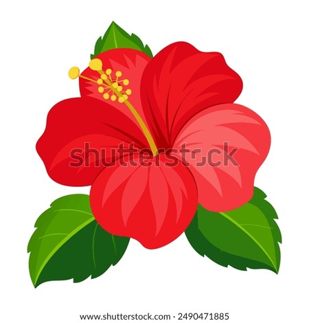 Hibiscus A vibrant hibiscus flower with striking red petals and a prominent yellow stamen, set against a plain white background.