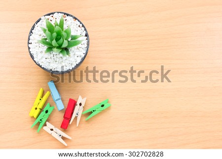 cactus placed on a wooden table with wooden laid clip. Leave some space to put a message, vintage soft tone