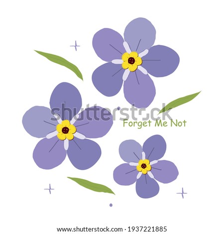 Forget Me Not Flowers Lincoln Il Forget Me Not Clipart Stunning Free Transparent Png Clipart Images Free Download