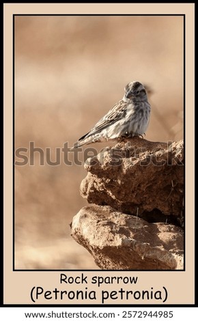 Similar – Image, Stock Photo arid Environment Nature