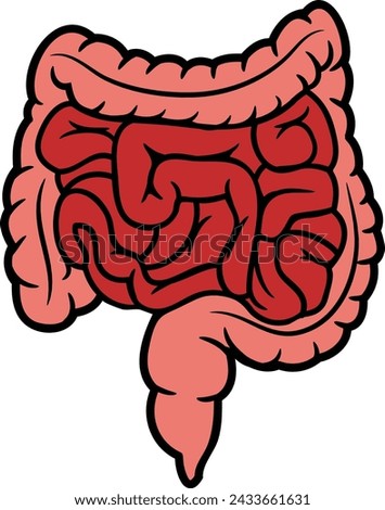 a cartoon of a large intle of a human stomach
