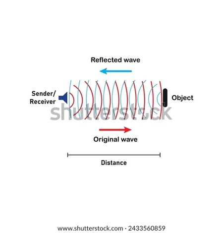 Active sonar transducers emit an acoustic signal or pulse of sound into the water. If an object is in the path of the sound pulse, the sound bounces off the object and returns an “echo” to the sonar