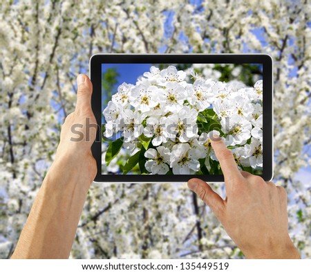 tablet computer in hand for advertisement. flower background