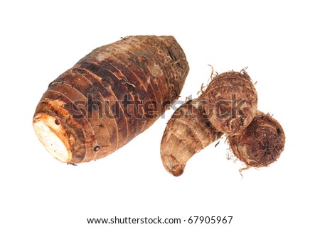 Two Difference Species Of Yam Roots On White Background Stock Photo ...