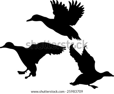 Duck Silhouette Collection Stock Photo 25983709 : Shutterstock