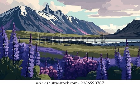 Beautiful landscape of blooming lupine flowers Iceland. Vector illustration.