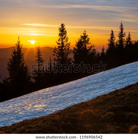 Similar – Image, Stock Photo Crocuses in the twilight