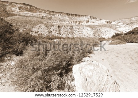 Rocky hills of the Negev Desert in Israel. Breathtaking landscape of the desert rock formations in the Southern Israel Desert. Vintage Style Sepia photo