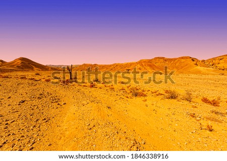 Breathtaking landscape of the rock formations in the Israel desert. Lifeless and desolate scene as a concept of loneliness, hopelessness and depression.